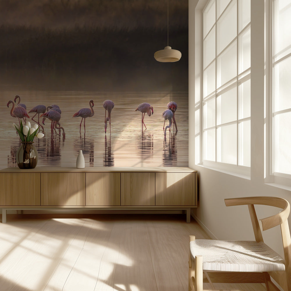 Fotografische ode aan Monet | Behang
