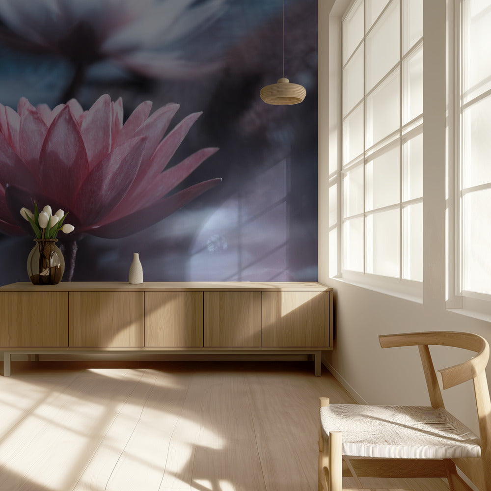 Stilte | Behang