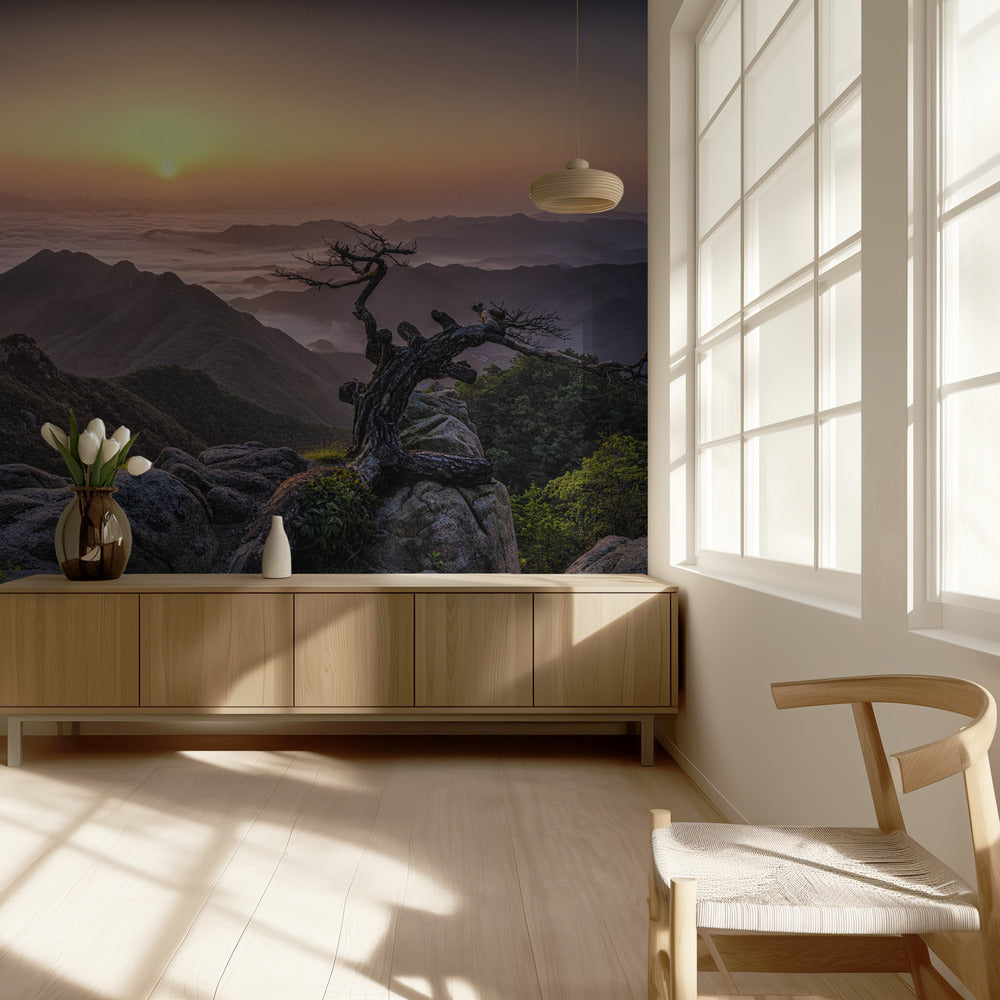 Zonsopgang op de top | Behang