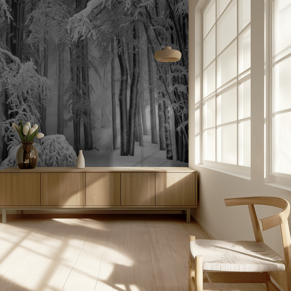 Perfecte winter | Behang