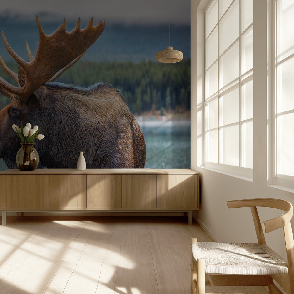 Eland | Behang