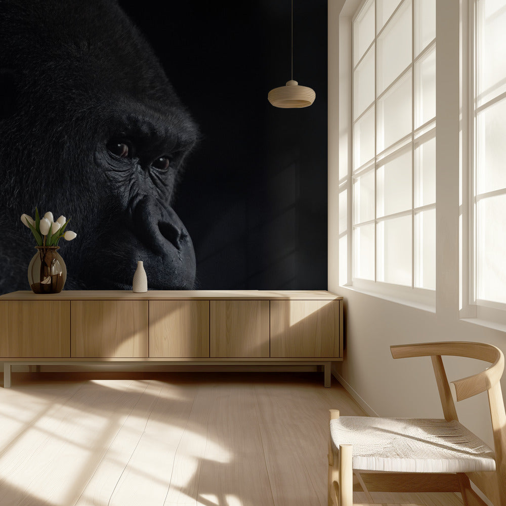 gorilla-blik | Achtergrond