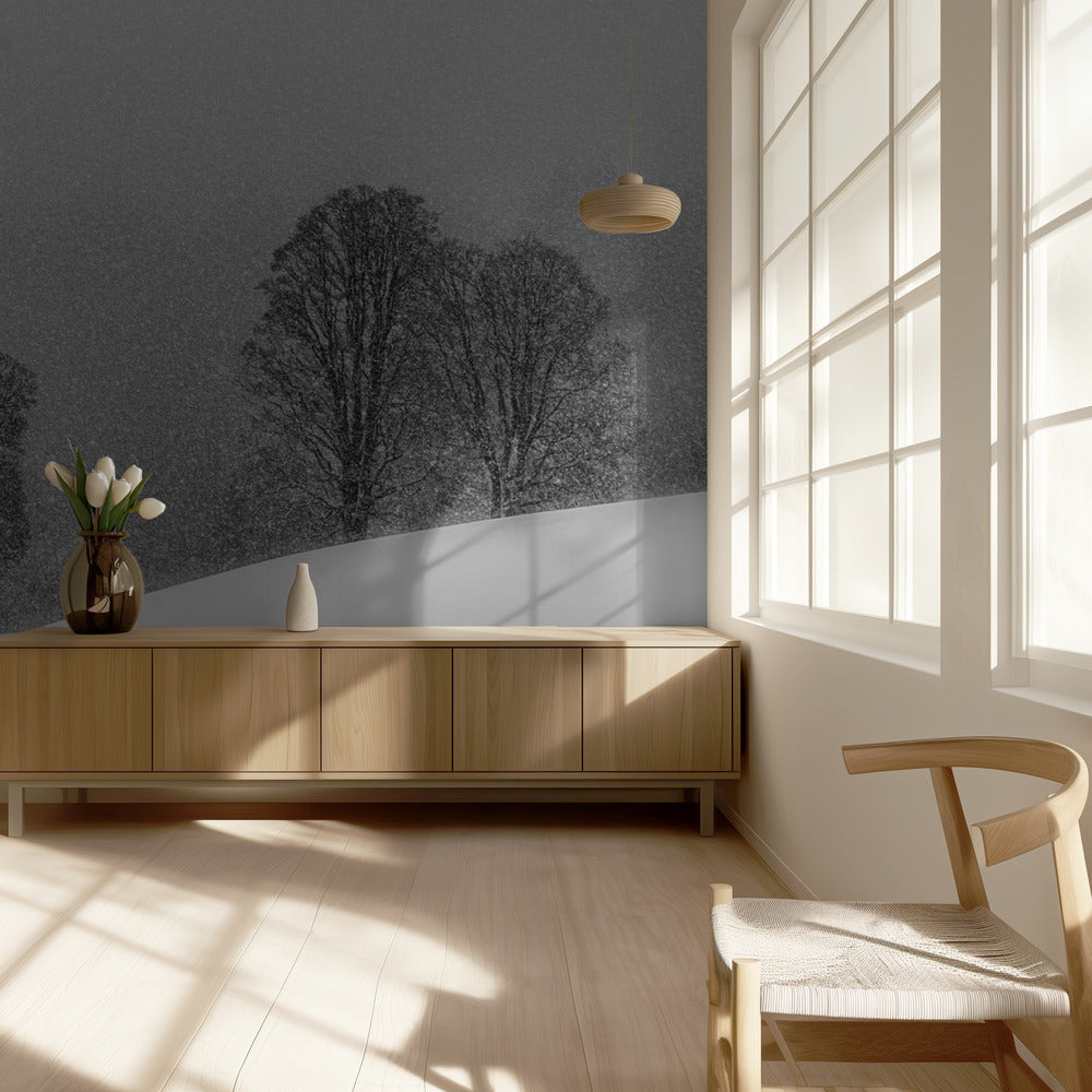 Sneeuwwitje | Behang