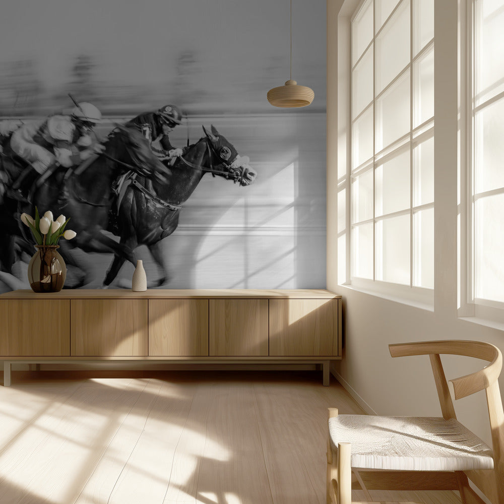 Paardenraces @ Queen's Plate | Achtergrond