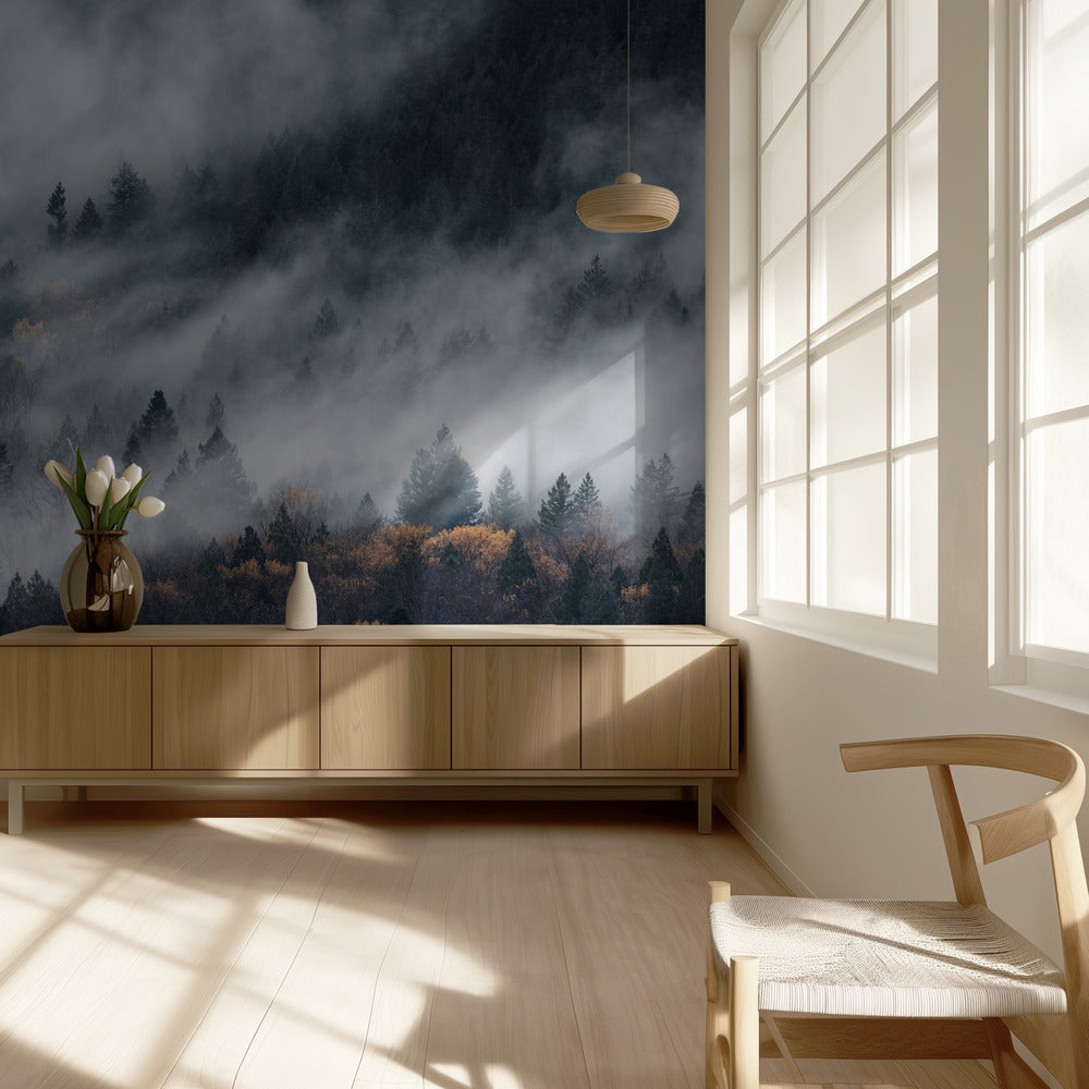 Een pad van de mist | Behang