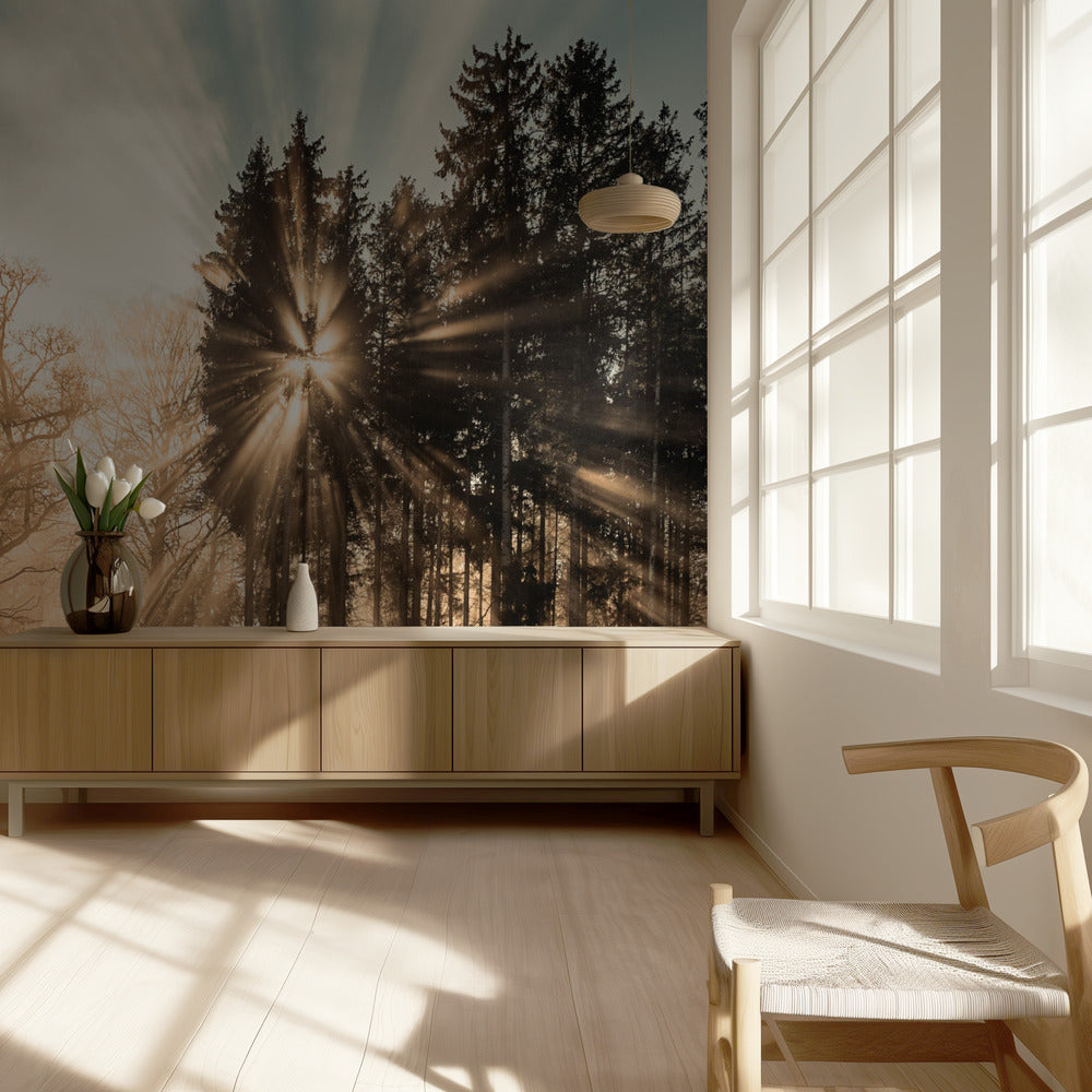 Verdwijnen | Behang