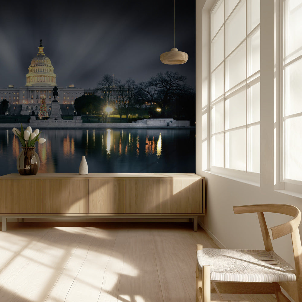Capitol Hill | Behang