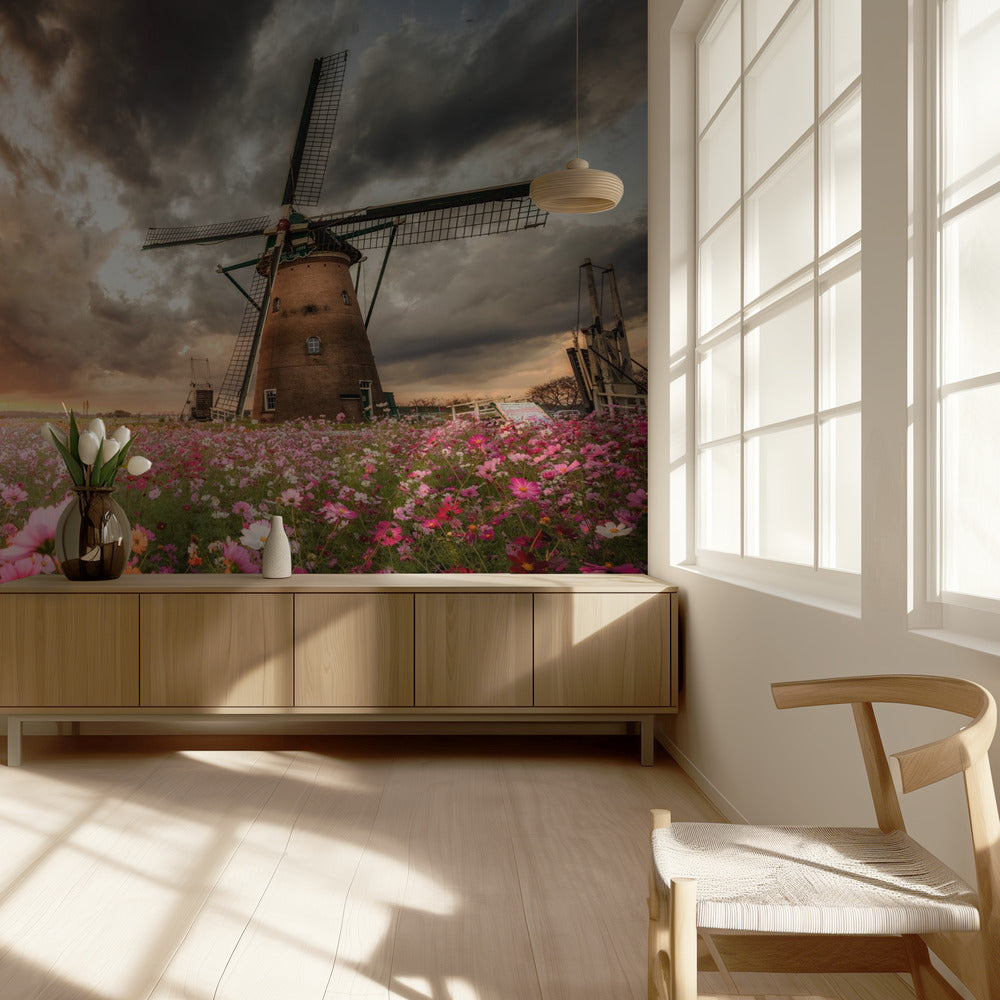 Prachtige bloemenwereld | Achtergrond