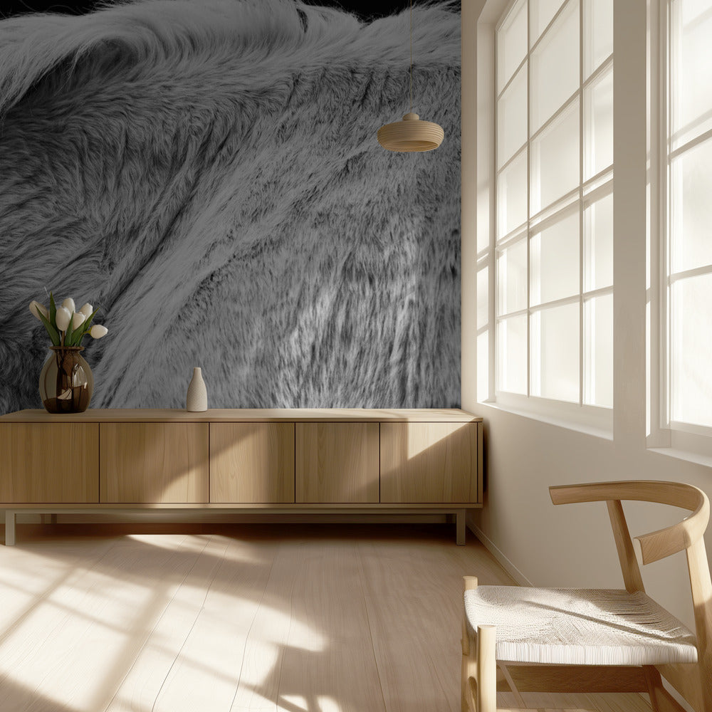 Paard II | Achtergrond