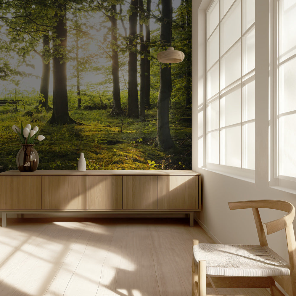 Zomer in het bos | Behang