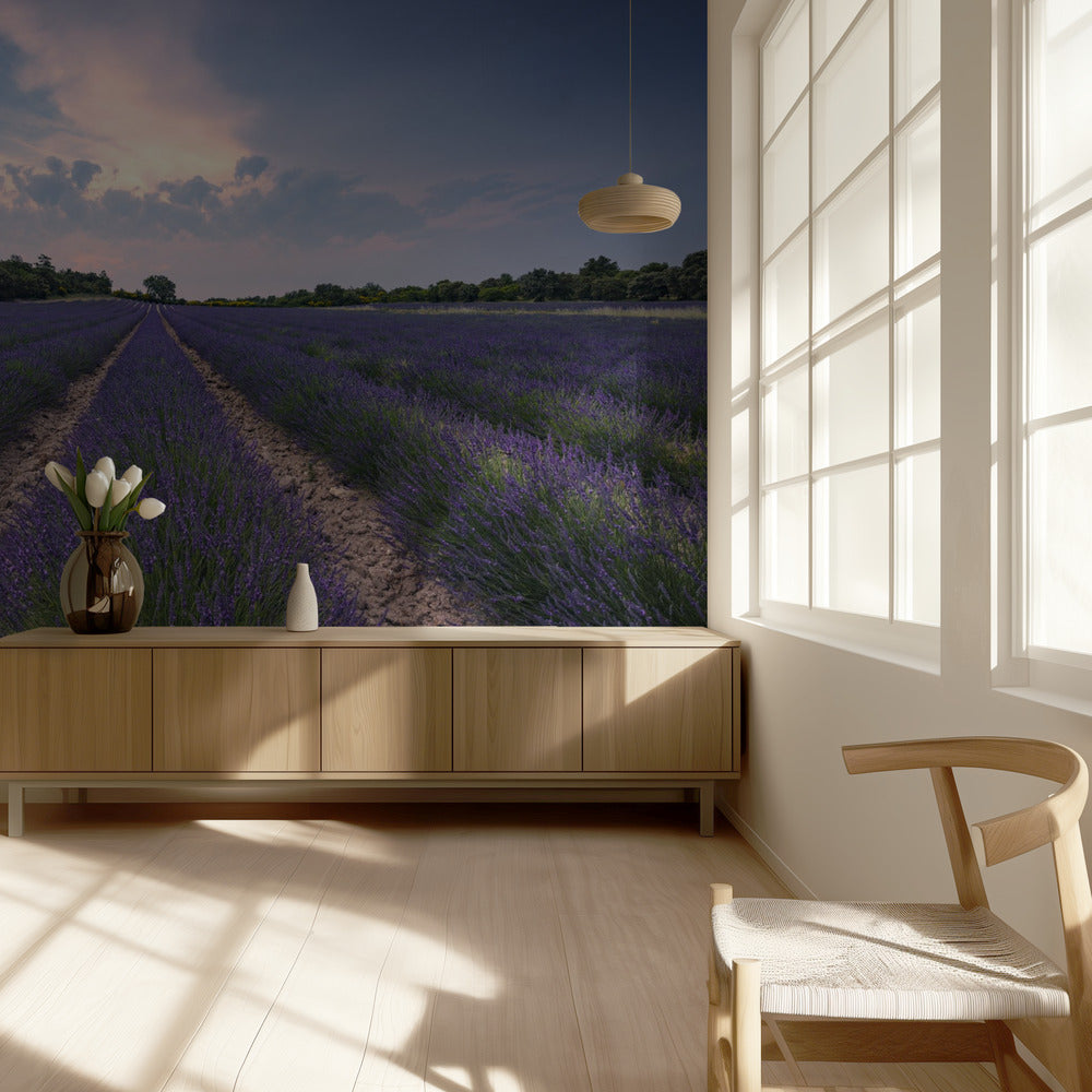 Blauwe Lavendel | Behang