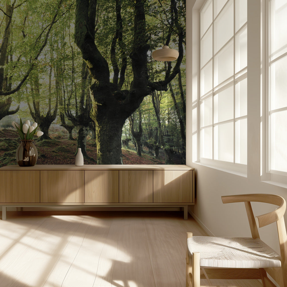 Magic Grove | Behang