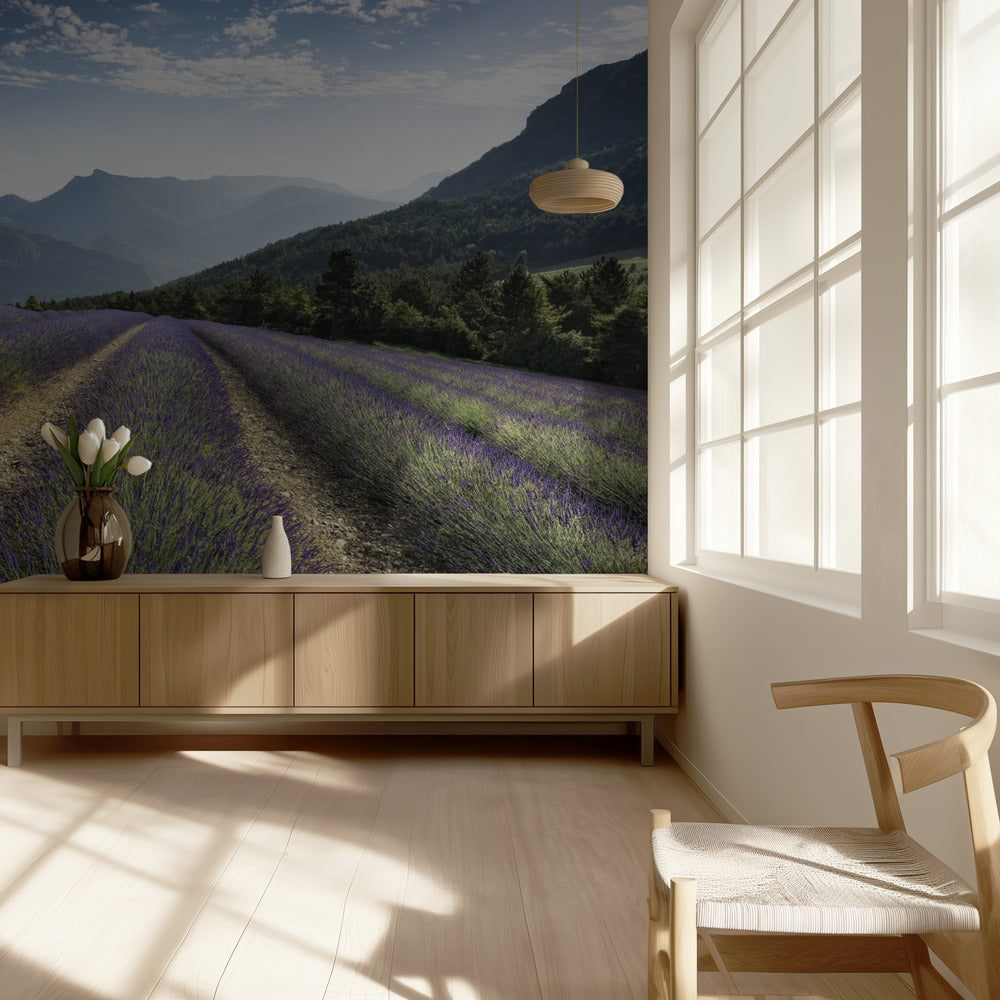 Lavender Hills | Behang