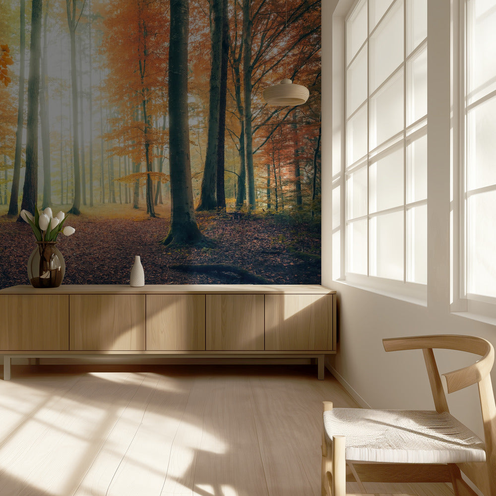 Herfst in het bos | Behang
