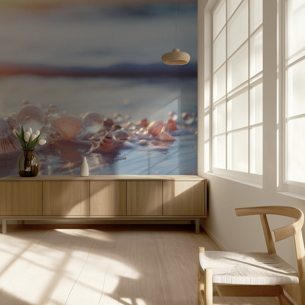 Seashell Serenity | Behang