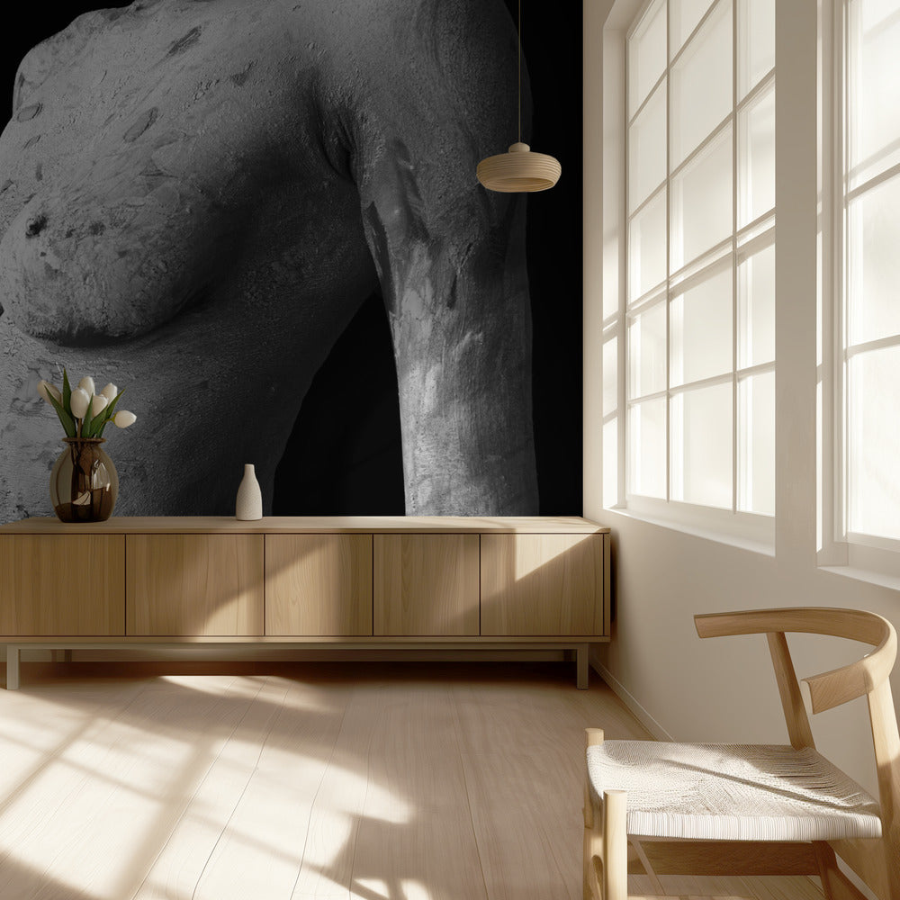 Afwijkende schoonheid | Behang