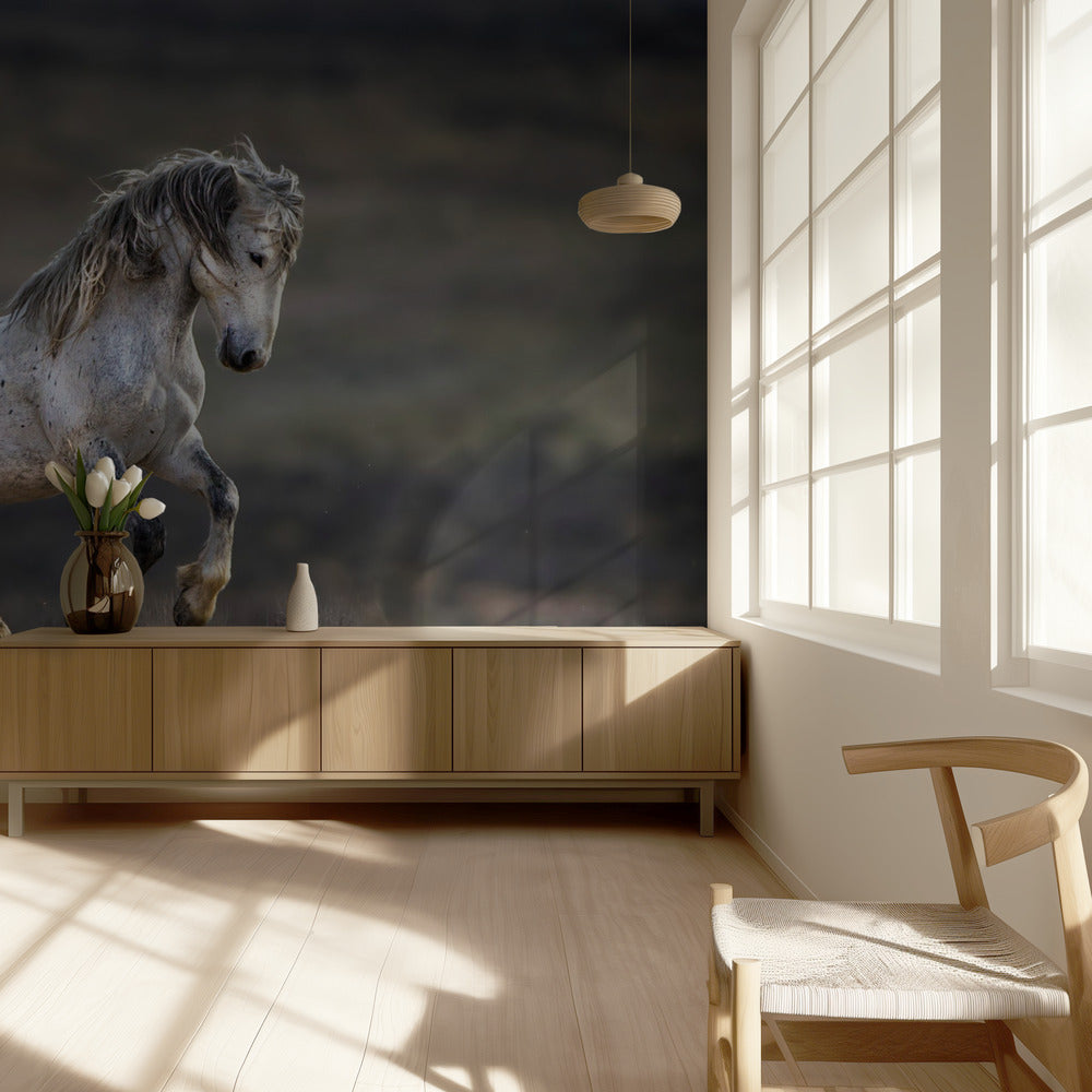 Mustang, wild paard / Equus ferus caballus | Behang