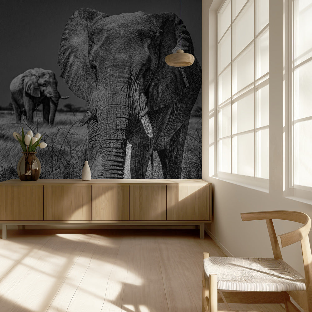 Olifantenvelden | Behang