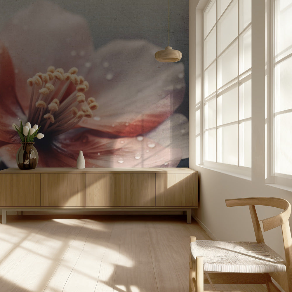 Bloemblaadjes van Sereniteit | Behang