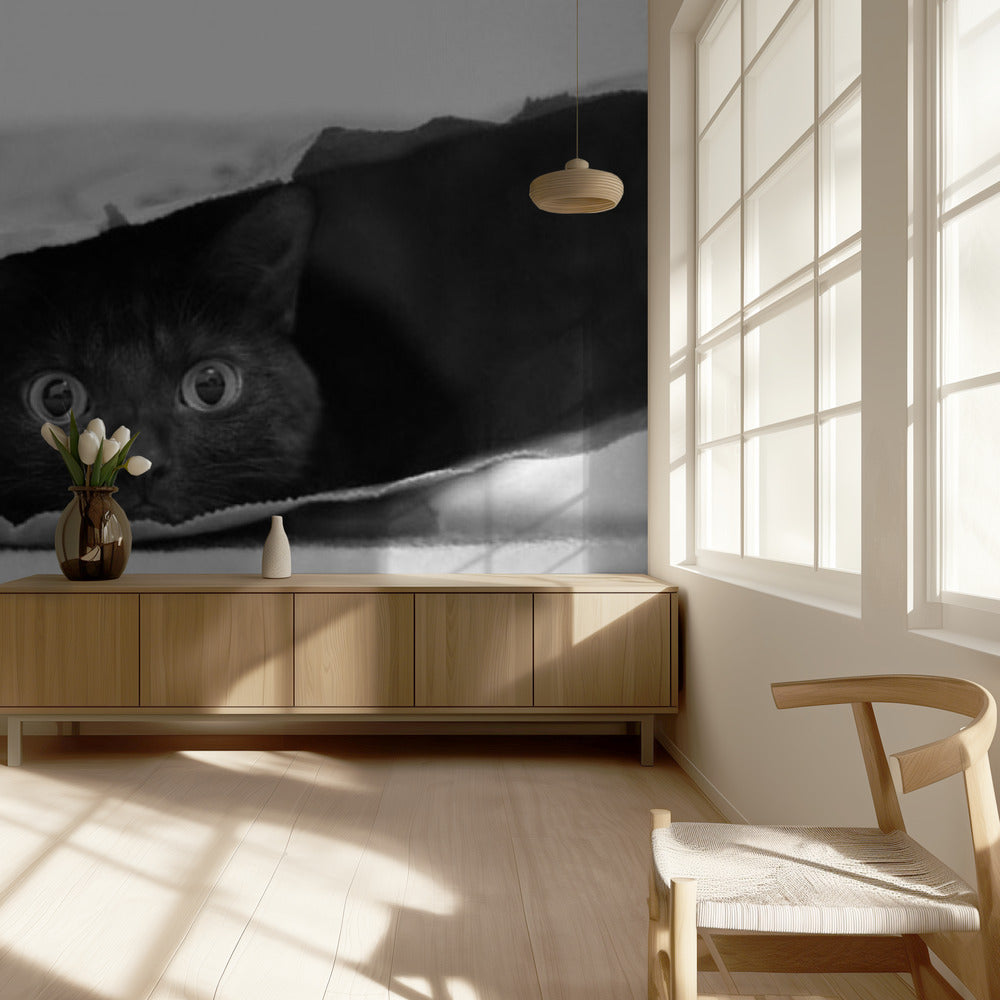 Kat in een zak | Behang