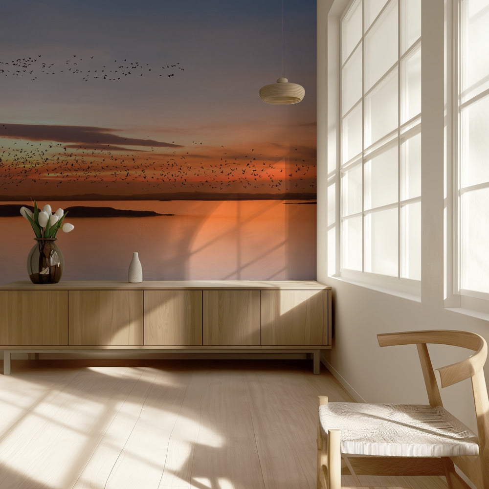 bij zonsondergang | Achtergrond