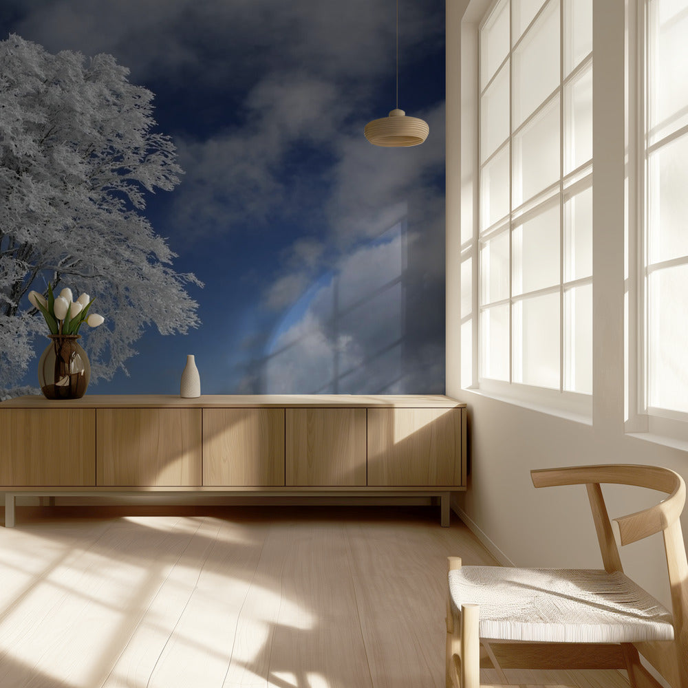 Witte Windbuche in het Zwarte Woud | Behang
