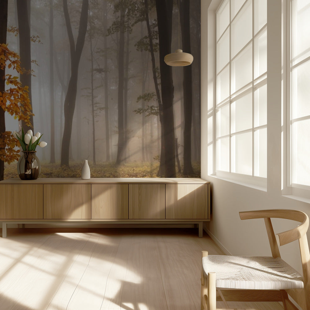 In novemberlicht | Behang