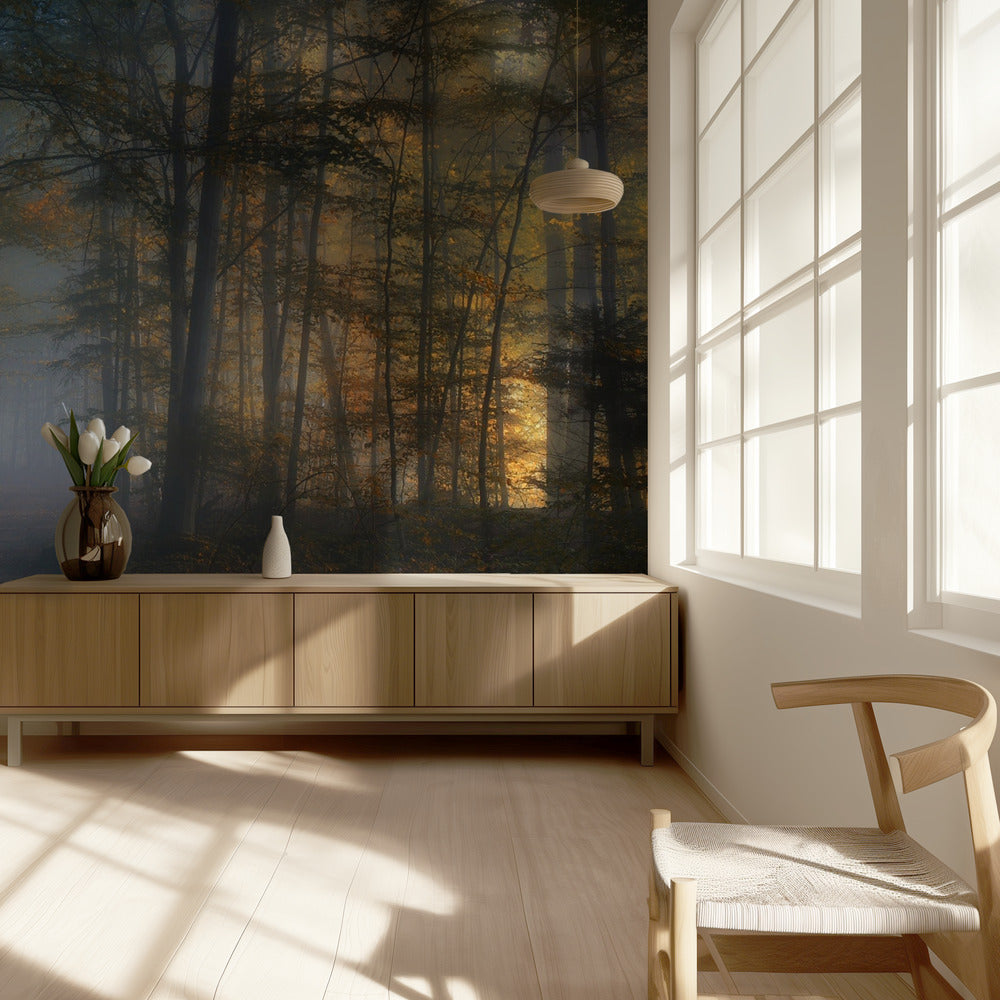 herfstsymfonie | Behang