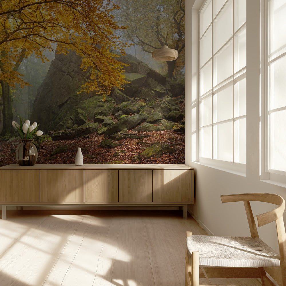 Herfstbos | Behang