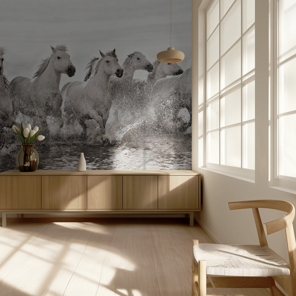 Illusie van kracht (hoewel 13 pk) | Achtergrond