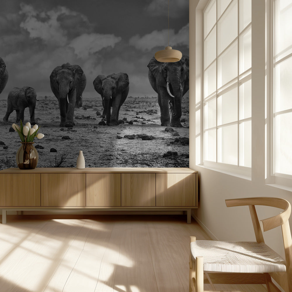 Grote Familie | Behang