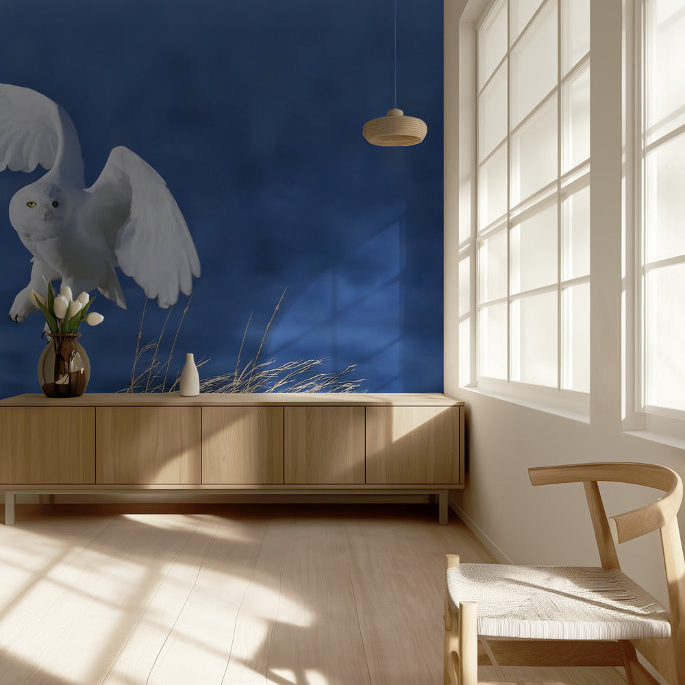 Witte geest demon | Achtergrond