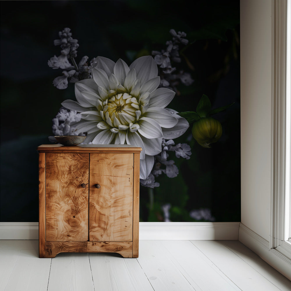 Dahlia bloem | Behang