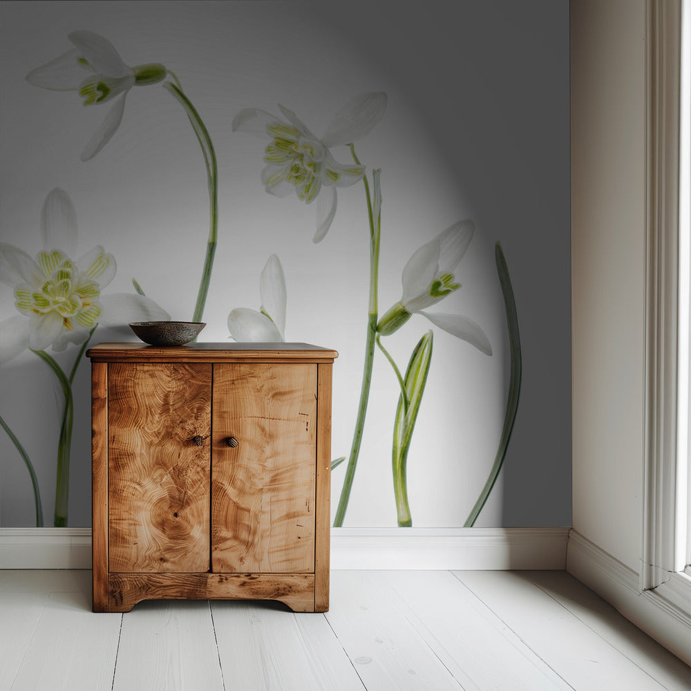 Lente Sneeuwklokjes | Behang