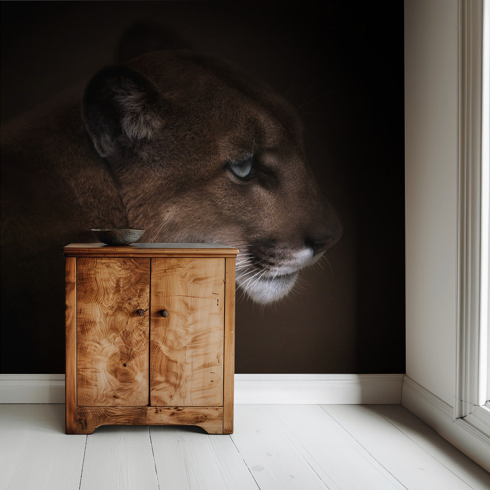 Puma | Achtergrond