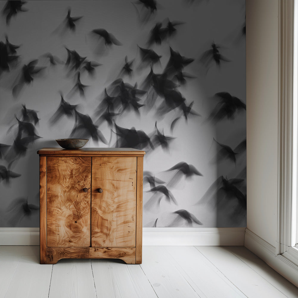 Birds | Wallpaper