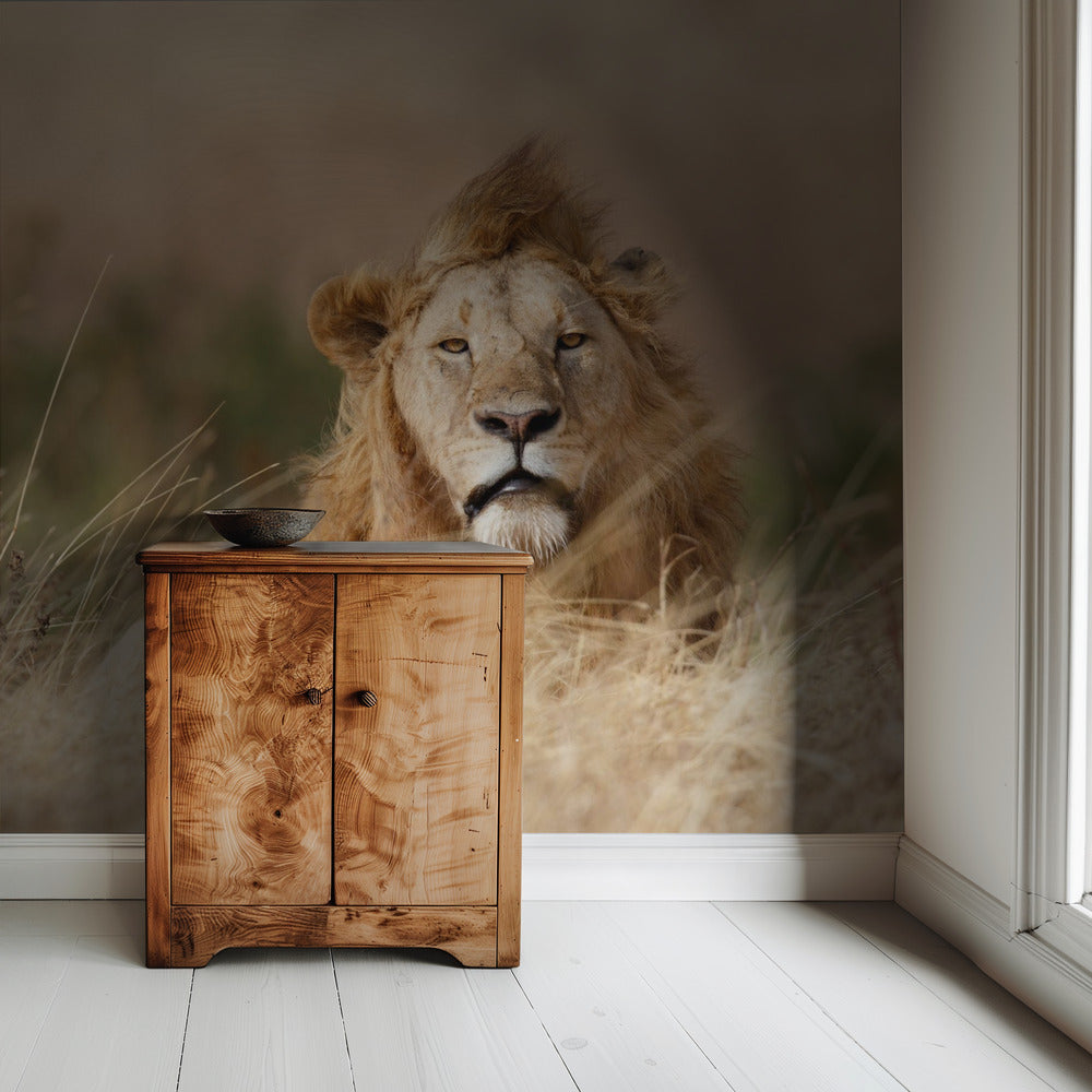 Knap! | Behang