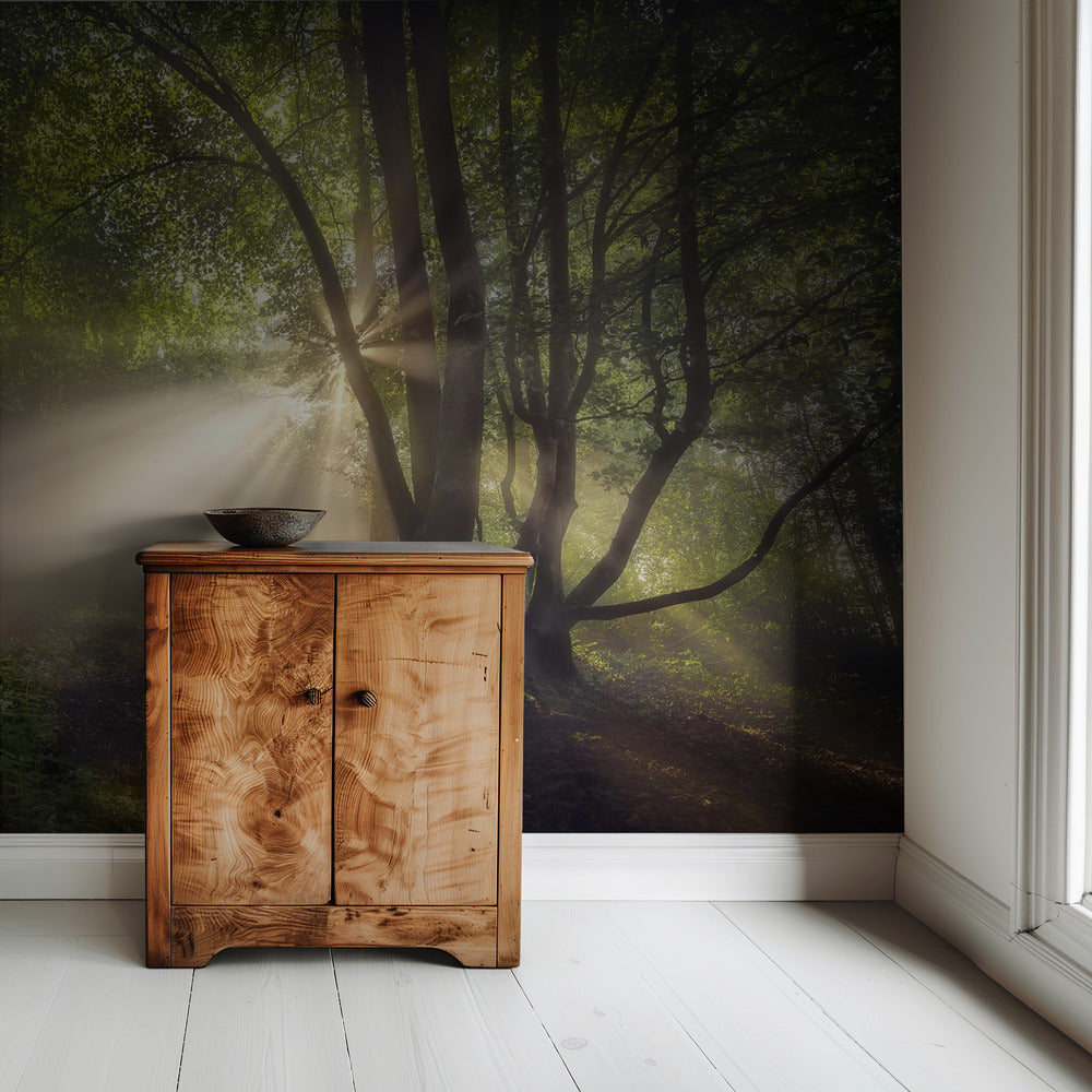 Het ochtendlicht | Behang