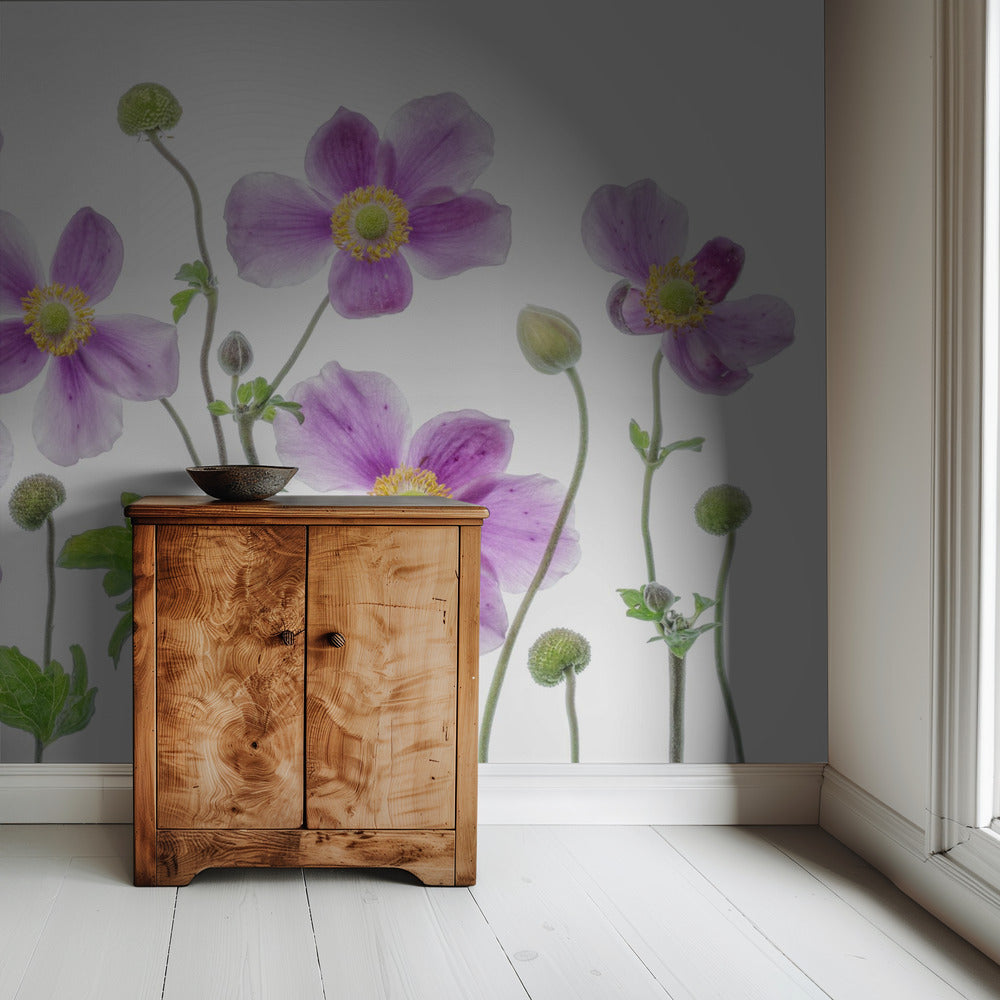 Anemone Japonica | Behang