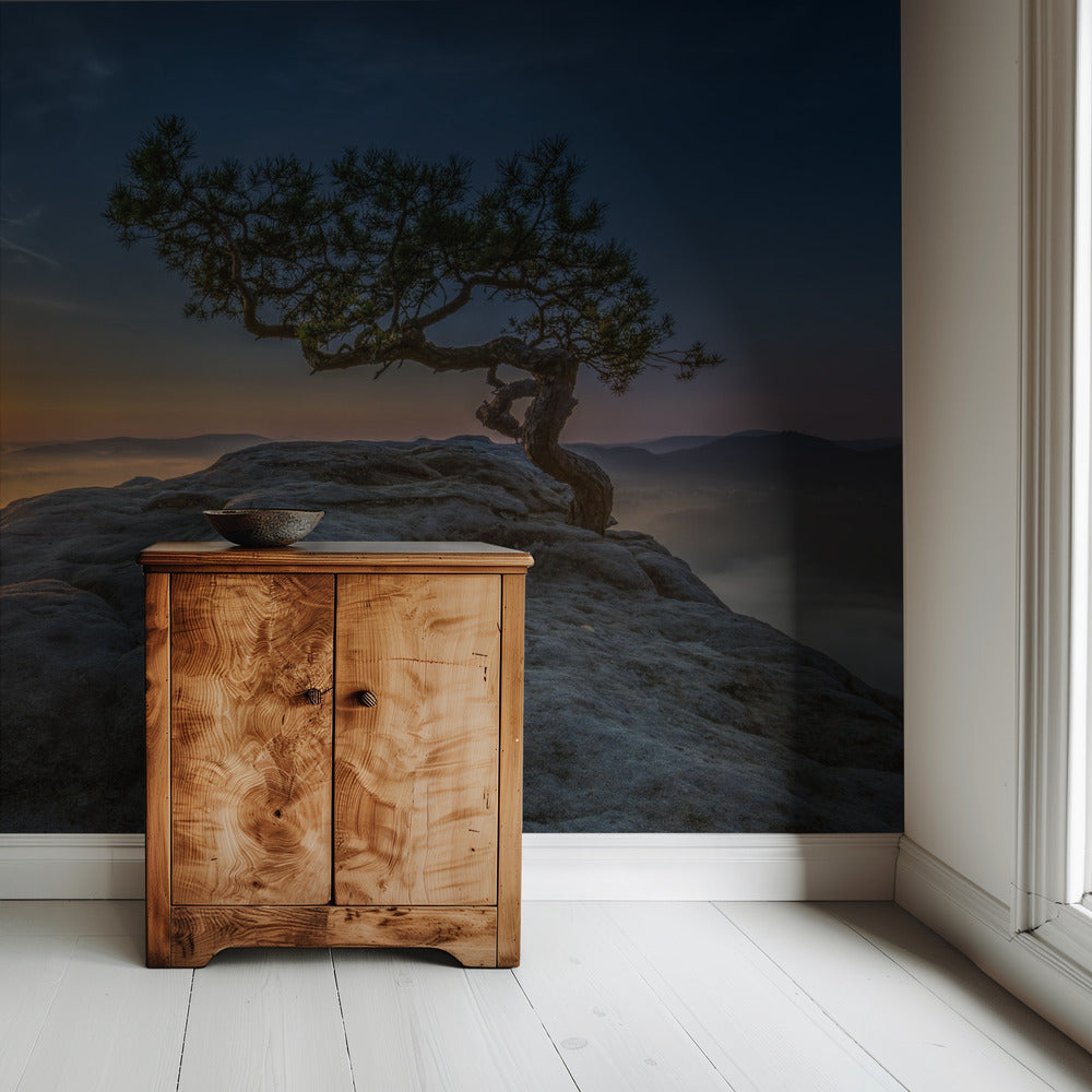 Oud grenen | Behang