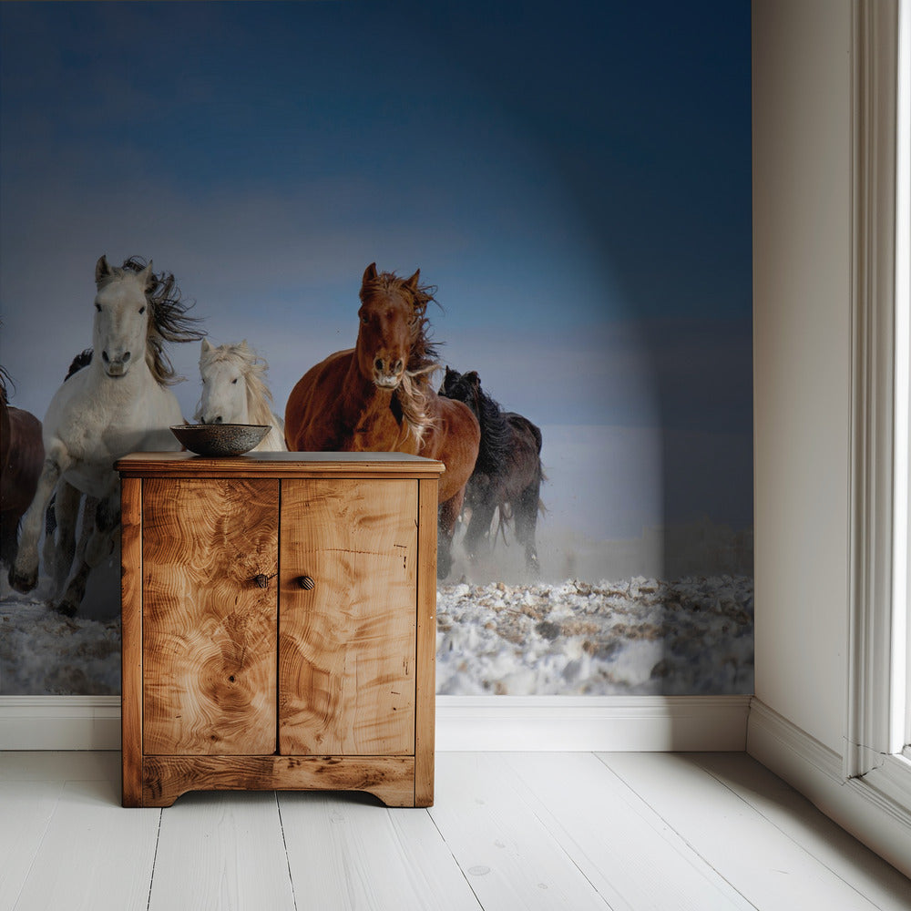 Mongoolse paarden | Achtergrond