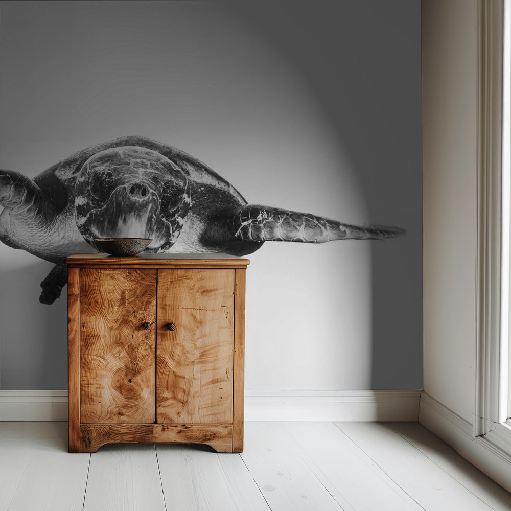 Wit en schildpad | Behang