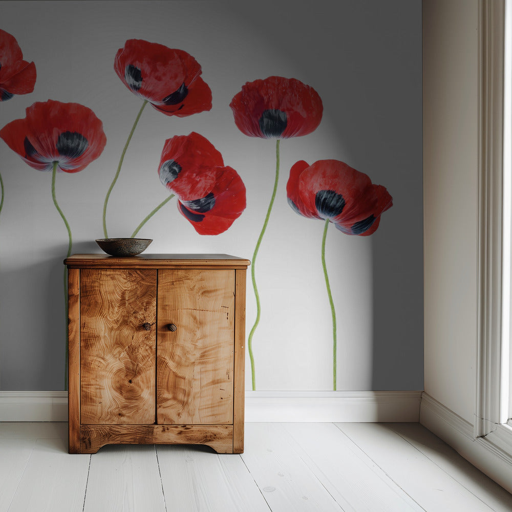 Lieveheersbeestjes Klaprozen | Behang