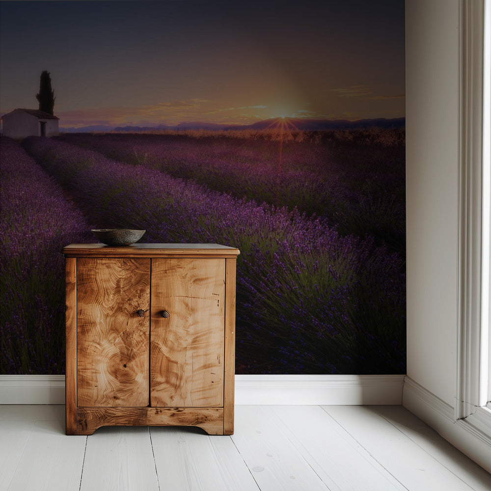 Provence Lavendel | Behang