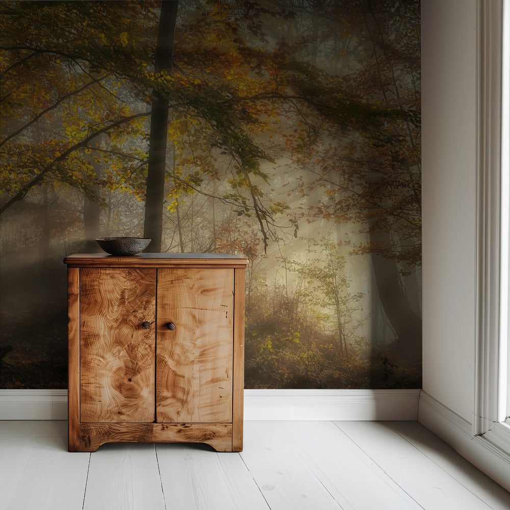 De lichten van het bos | Behang