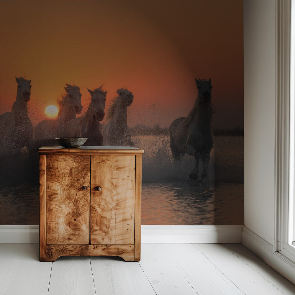 Zonsondergang in de Camargue | Achtergrond