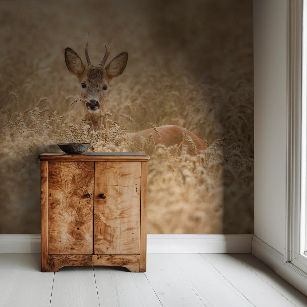 Hert in het veld | Behang