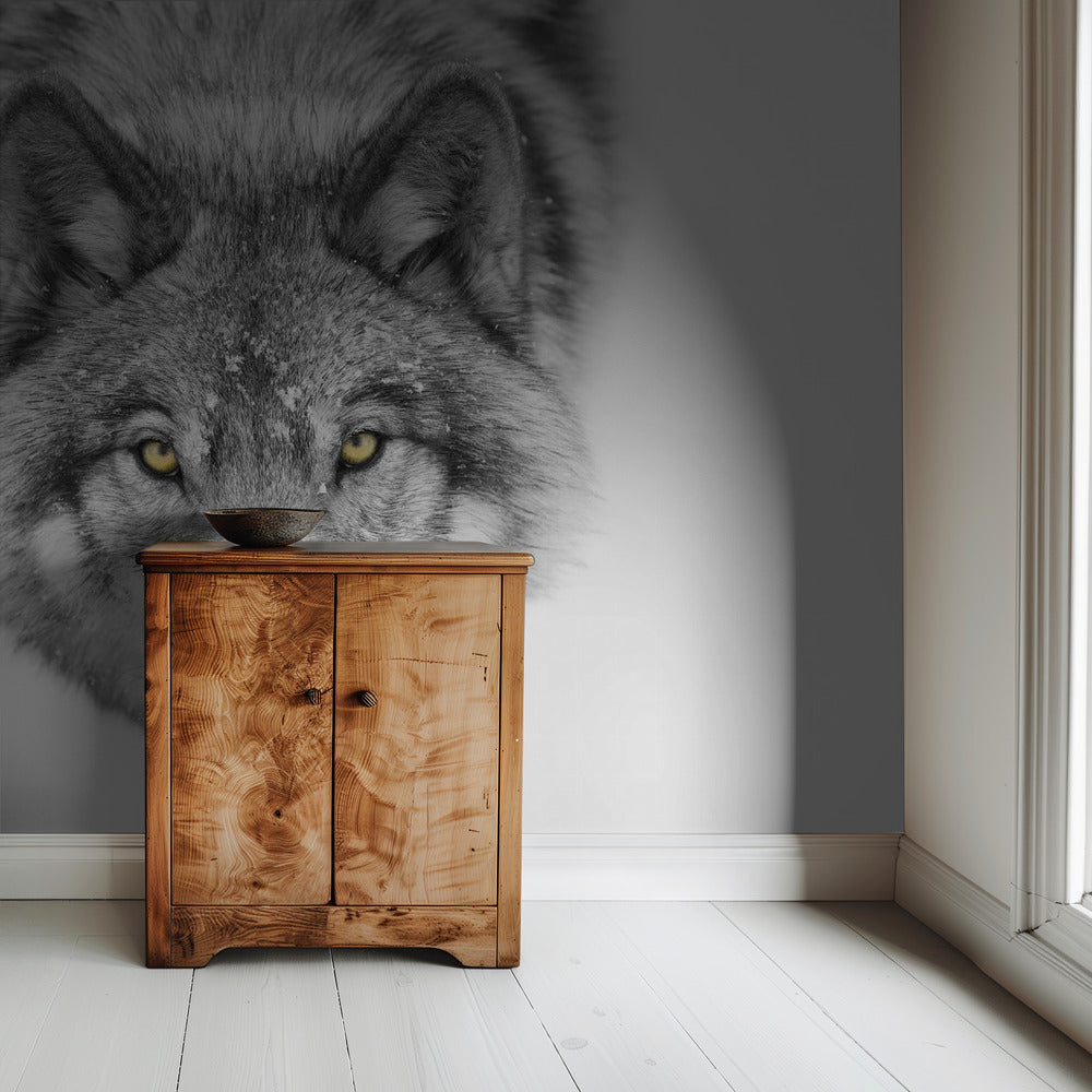 Gele ogen - Timber Wolf | Achtergrond