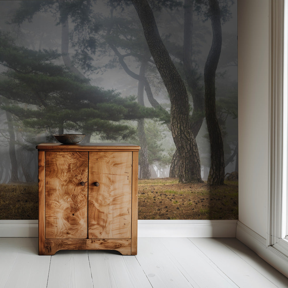 In het mistige dennenbos | Behang