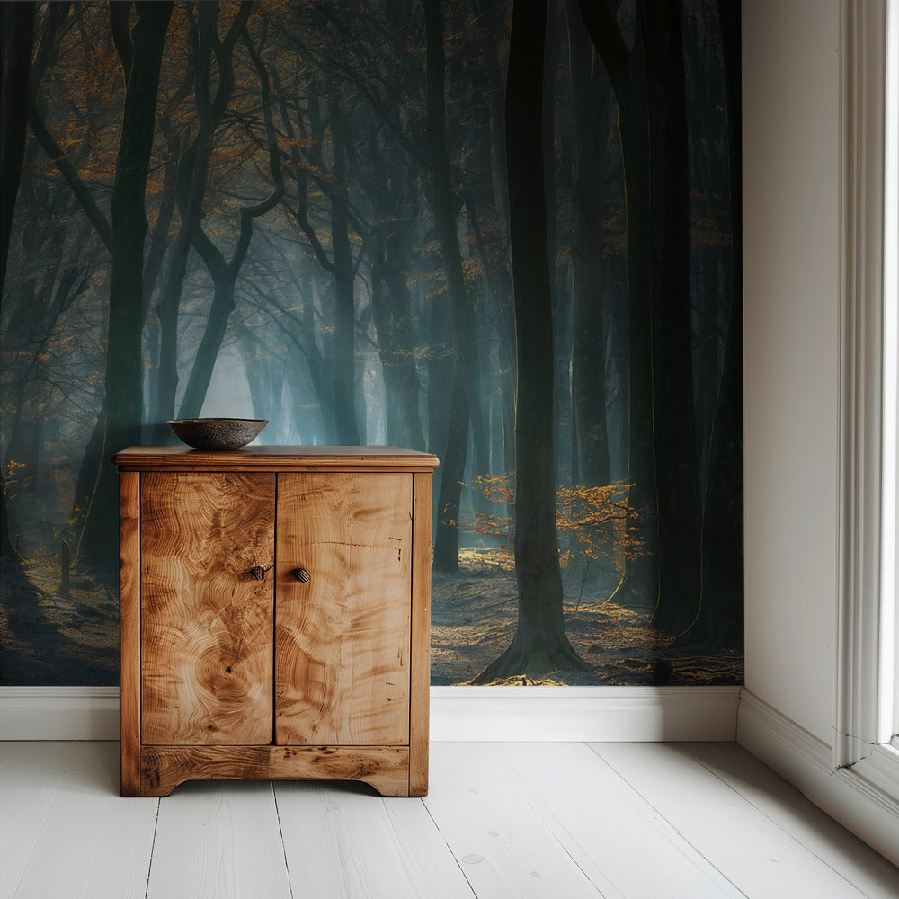 Koud licht | Behang